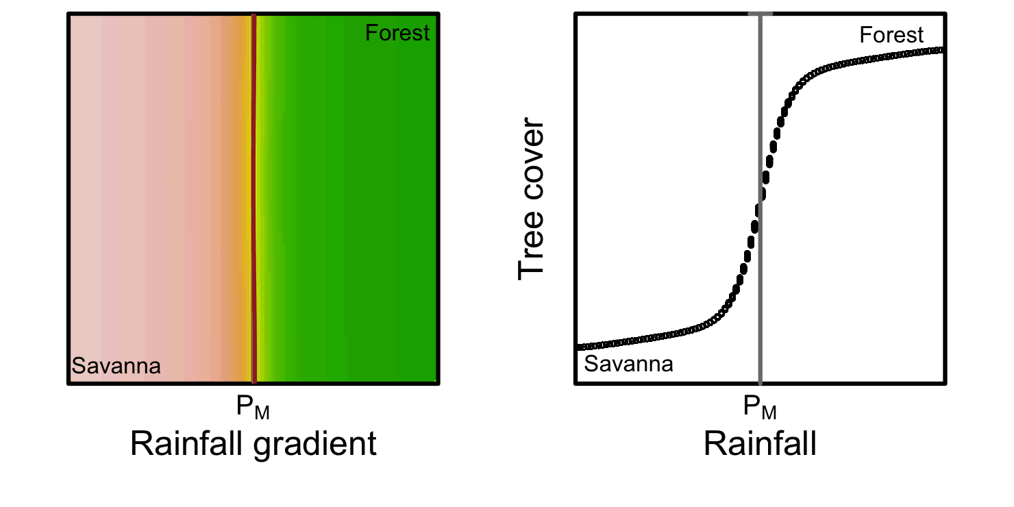 Distribution and resilience of savanna and forest